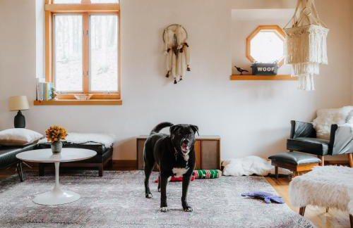 Finnwood - A Pet Friendly Woodland Retreat - Foto 5