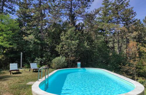 Porcaticcio - Foto 9