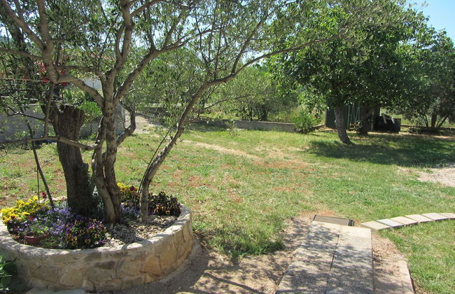 House Pansy - Foto 25