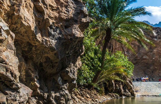 Tour privado en 4x4 por Ras al Khaimah - Foto 1