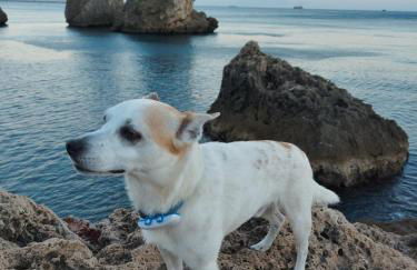 Casa Mamma Mia - Foto 46