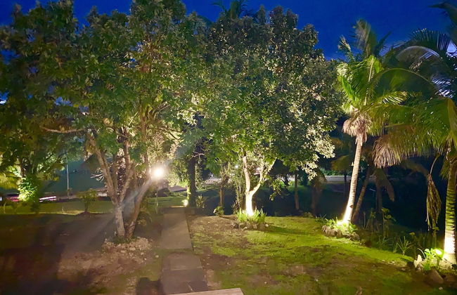 The Williamson House - Photo 30