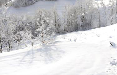 Chalet typique des Pyrénées - Foto 16