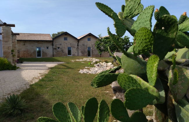 Falcon Home Resort - Photo 63