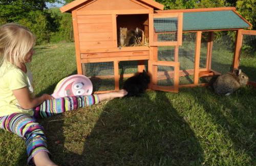 Elegantes Landhaus in Bastorf nahe dem Meer - Foto 24