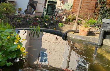 Ferienwohnung Bongartz - Foto 7