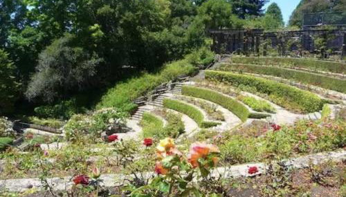 Amazing, Sunny, and Spacious! Steps to Campus! - Foto 2, Other