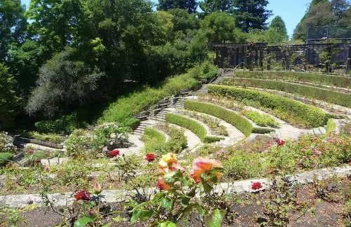 Amazing, Sunny, and Spacious! Steps to Campus! - Photo 2