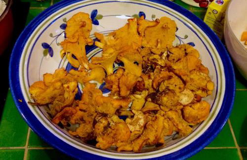 La Coutinelle - Foto 10