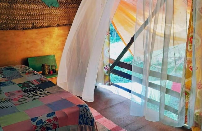 Pousada Pouso das Araras - Foto 36