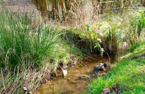 Wohnen im schönen Bauernhaus - Foto 28