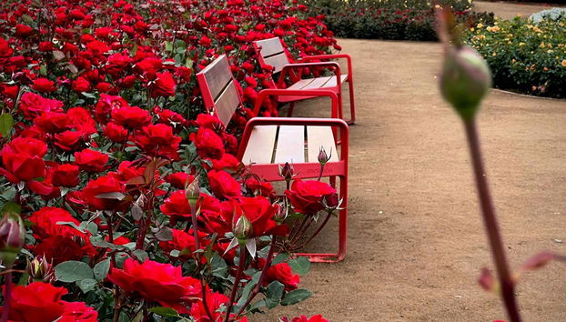 Relax and take in the beauty