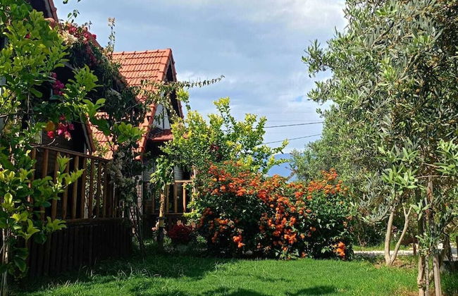 Riviera Bungalow Evleri Demre - Photo 71