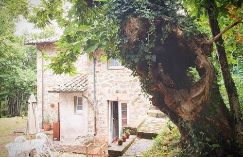 Vrijstaand vakantiehuis La Piccigliana - 6 personen - Foto 9