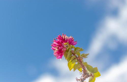 Altea Hills Villa Noruega - Photo 30