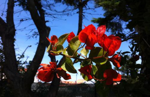 Santa Cruz Beach House - Foto 40