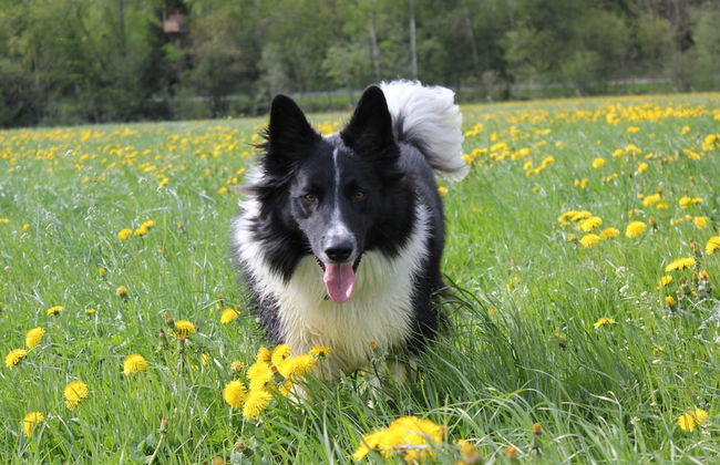 Das Urgestein - Foto 53