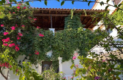 Pantheon Apartments & Studios - Photo 44