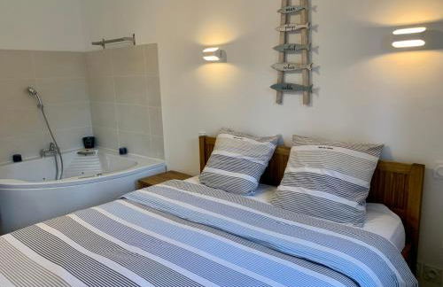 LA BADINE Accés direct à la plage clim balnéo piscine - Foto 14