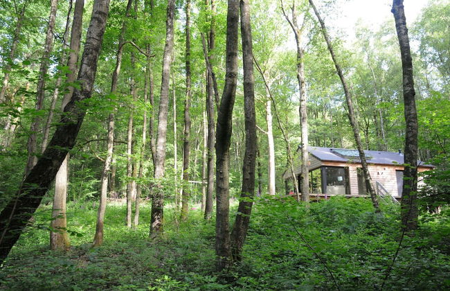 Chalet in Oignies Near French Border - Foto 24