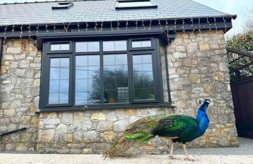 Peacock cottage - Foto 1