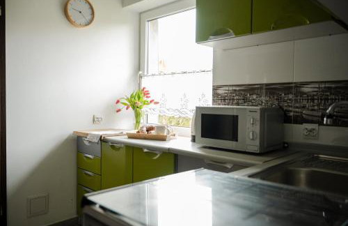 Apartament nad Bukówką - Foto 8