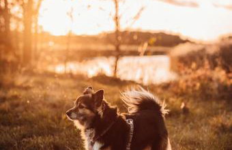 W Południe Lata - Foto 23