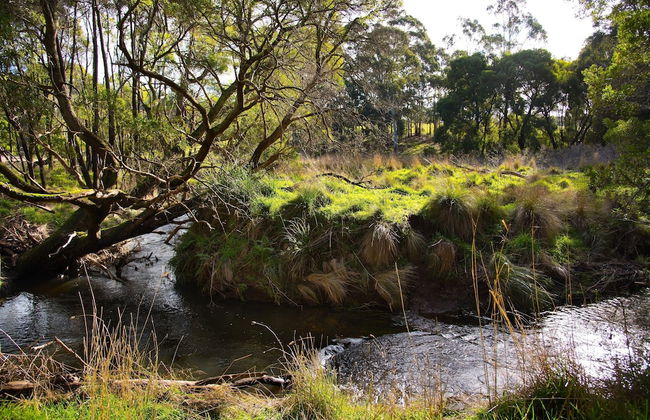 Green Gully House - Foto 17