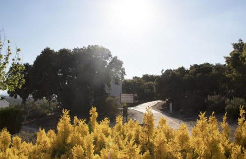 Casas Rurales Cortijo la Cañada - Photo 49