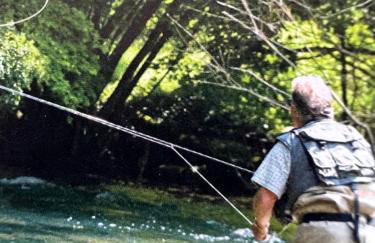 Le salinois - Foto 22