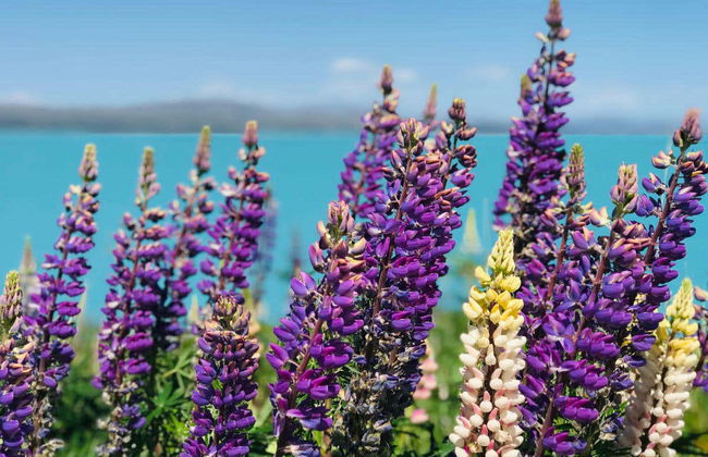 Excursión al Monte Cook - Foto 2