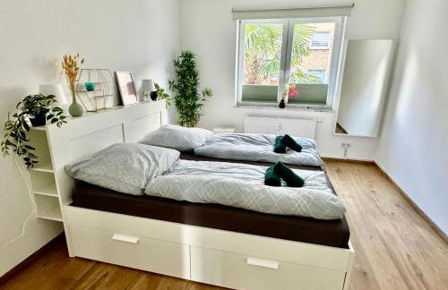 FeWo Palmtrees - Große und moderne 2 Zimmerwohnung mit Süd-West Balkon in Gladbeck-Mitte nähe Movie Park und Arena AufSchalke - Foto 2