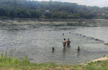 Queen bee's nest - Foto 38