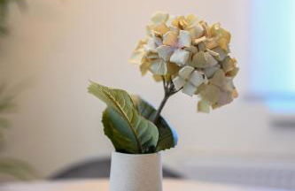 Modernes Apartment in Berlin - Foto 24