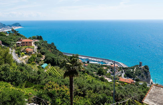 Mare (FLG136) - Foto 22