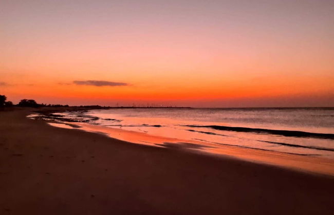 Joais do Nordeste - Foto 42