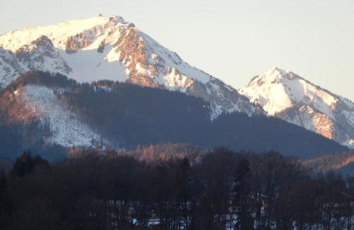 Private Luxury Chalet - Photo 54