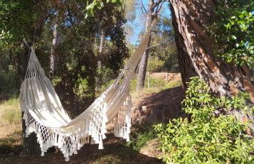 Masia Sagués - Foto 40