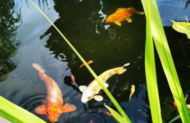 Ferienhaus mit mediterraner Terrasse - Foto 12