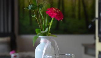 Glückshuuske Sauerland - Photo 5