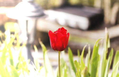 Le Gîte des Cimes - Foto 42