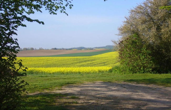 Wohnung Nahe Ostsee Kuhlungsborn - Foto 31