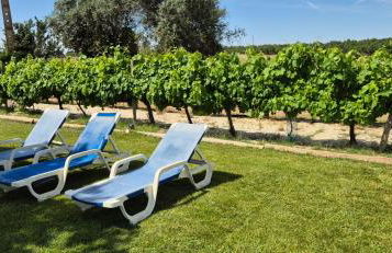 Monte das Aranhas - Foto 47