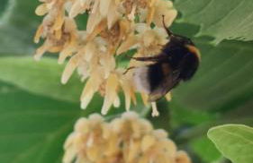 La Pezzuola 53 - Foto 59