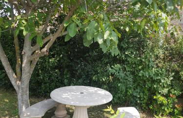 independent apartment in house with 3 bedrooms - Foto 26