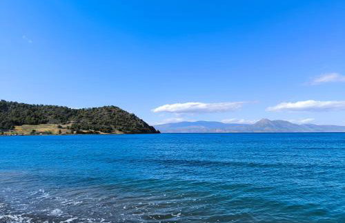 Palm tree house by the beach - Foto 37