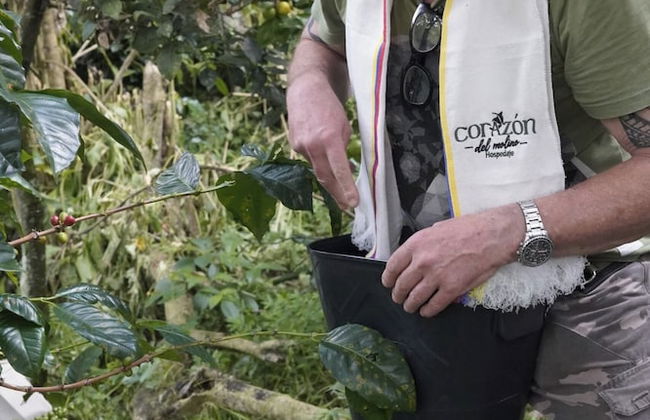 Glamping corazón del Molino - Photo 67