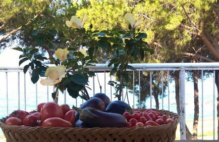 Villa Elvira Country House - Foto 11