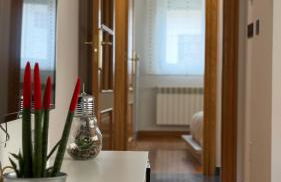 O Argalleiro - Foto 3