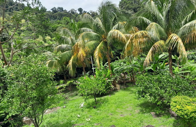 Pinard's Mountain Resort- Cottage 6 - Photo 36